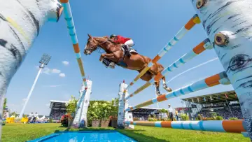 Un magnifique cheval de course brun saute par-dessus un obstacle coloré, sous un ciel bleu clair, lors d'une compétition équestre devant une foule attentive.