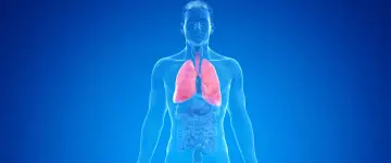 Menschlicher Torso mit roten Lungen, die auf COPD und die Notwendigkeit einer Pflegestufe hinweisen.