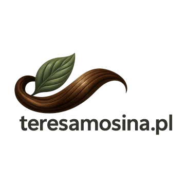 Logo teresamosina.pl