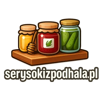 Logo serysokizpodhala.pl