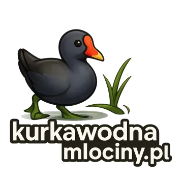 Logo kurkawodnamlociny.pl