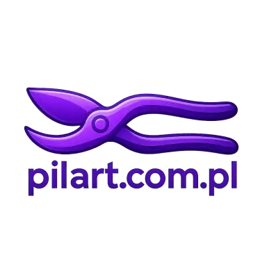 Logo pilart.com.pl