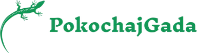 pokochajgada.pl
