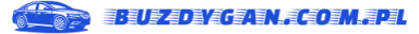 buzdygan.com.pl