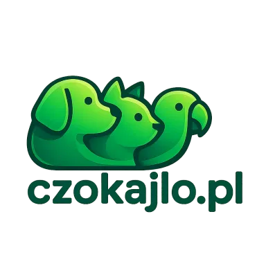 czokajlo.pl