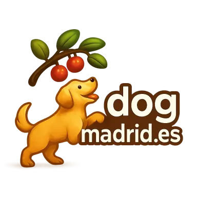 dogmadrid.es