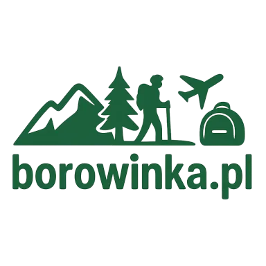 borowinka.pl