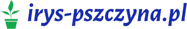 irys-pszczyna.pl