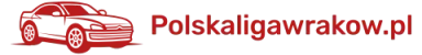 polskaligawrakow.pl