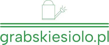 grabskiesiolo.pl