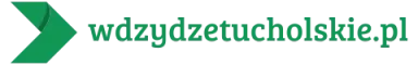 wdzydzetucholskie.pl