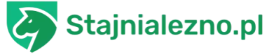 stajnialezno.pl
