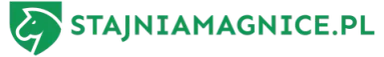stajniamagnice.pl