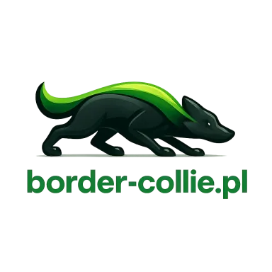 border-collie.pl