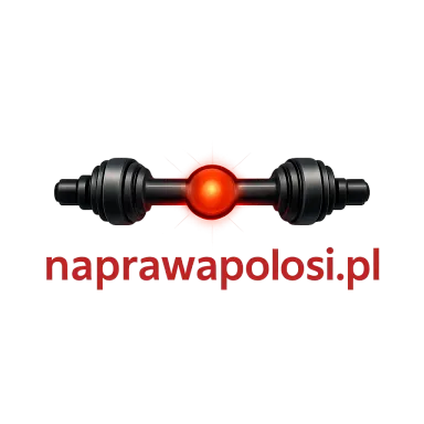 naprawapolosi.pl