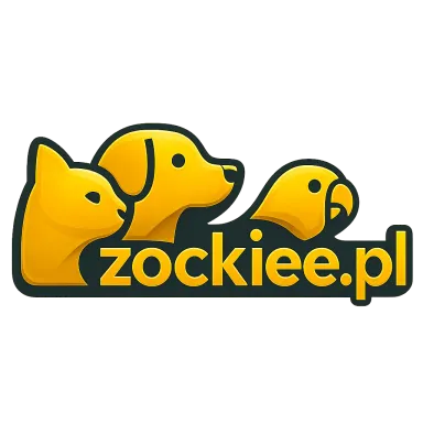 zockiee.pl
