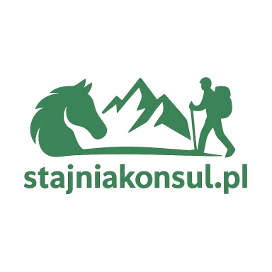 stajniakonsul.pl