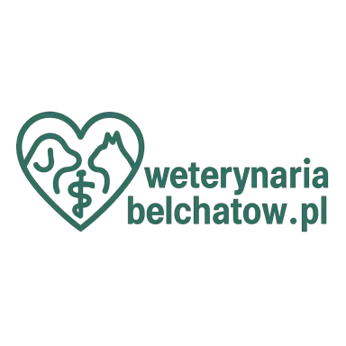 weterynariabelchatow.pl