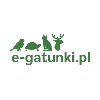 e-gatunki.pl