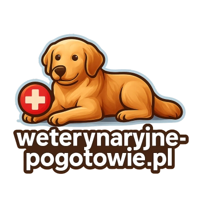 weterynaryjne-pogotowie.pl