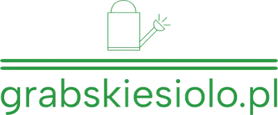 Logo grabskiesiolo.pl