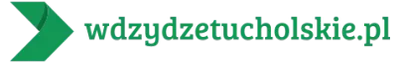 Logo wdzydzetucholskie.pl