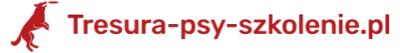 Logo tresura-psy-szkolenie.pl