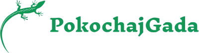 Logo pokochajgada.pl