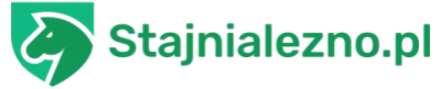 Logo stajnialezno.pl