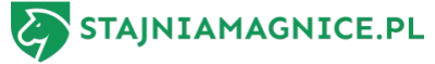 Logo stajniamagnice.pl