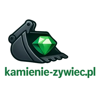 Logo kamienie-zywiec.pl