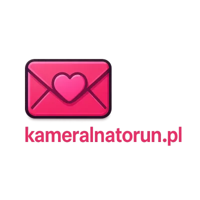 Logo kameralnatorun.pl
