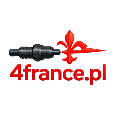Logo 4france.pl