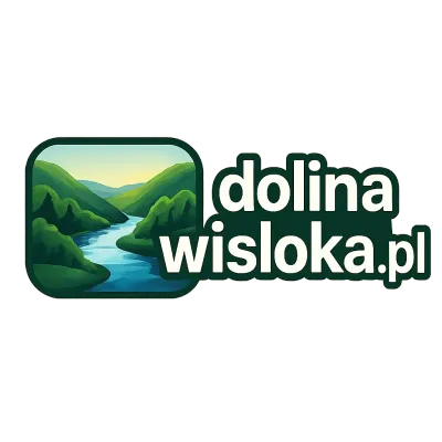 Logo dolinawisloka.pl