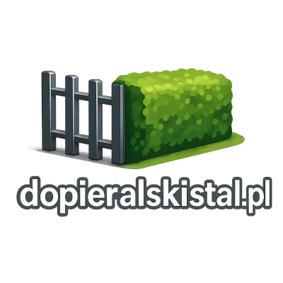 Logo dopieralskistal.pl