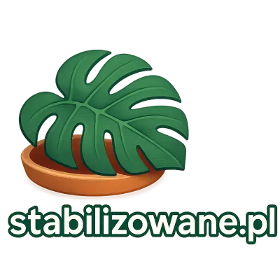 Logo stabilizowane.pl