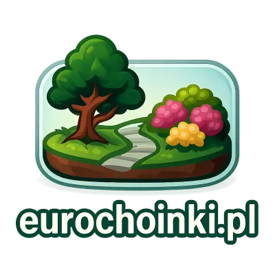 Logo eurochoinki.pl