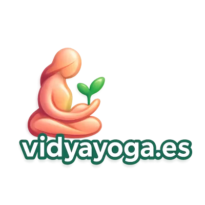 Logo vidyayoga.es