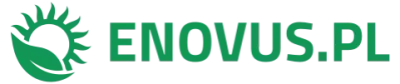 Logo enovus.pl