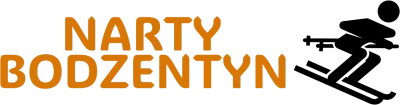 Logo nartybodzentyn.pl