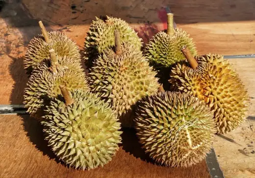 Durian - śmierdzący owoc czy zdrowy deser? Kalorie i wartości
