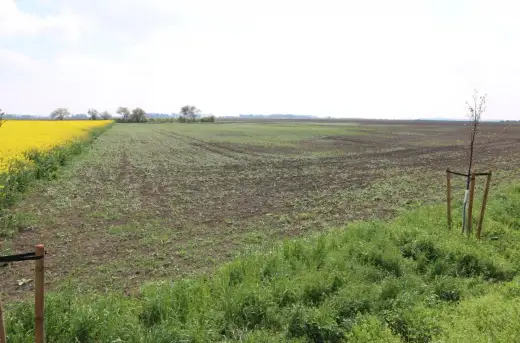Kredyt na ziemię rolną: Jak dostać dofinansowanie?