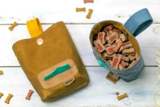 Sac ventral chien DIY - Le guide complet pour le fabriquer