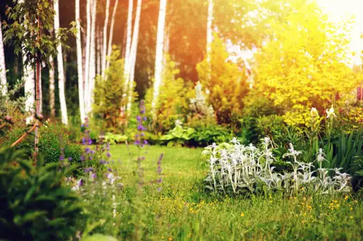 Ogród naturalistyczny - Jak stworzyć go bez chaosu?