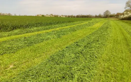 Ensilage d'herbe - Quel conservateur pour quel objectif ?