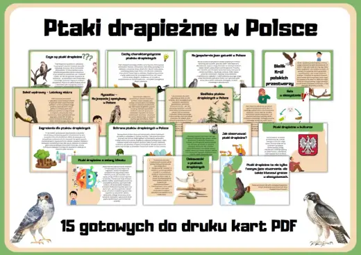 Ptaki drapieżne w Polsce - Jak je obserwować i rozpoznać?
