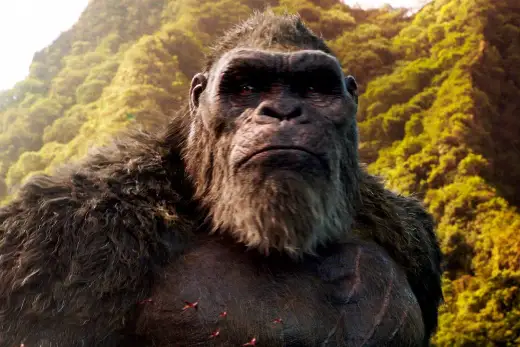 Godzilla vs Kong: Kto jest w obsadzie? Pełna lista aktorów