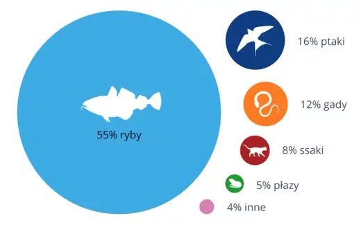 Ile jest gatunków ryb? Liczby, fakty i polskie wody