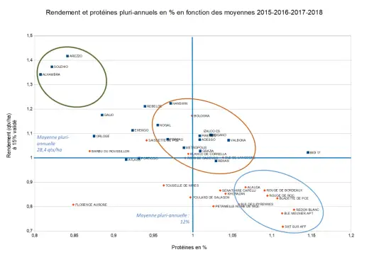 Variétés blé dur - Le vrai choix - rendement, qualité, profit