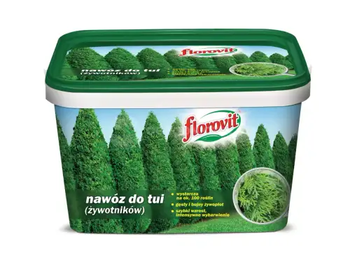 Nawóz do tui na szybki wzrost - co naprawdę działa?